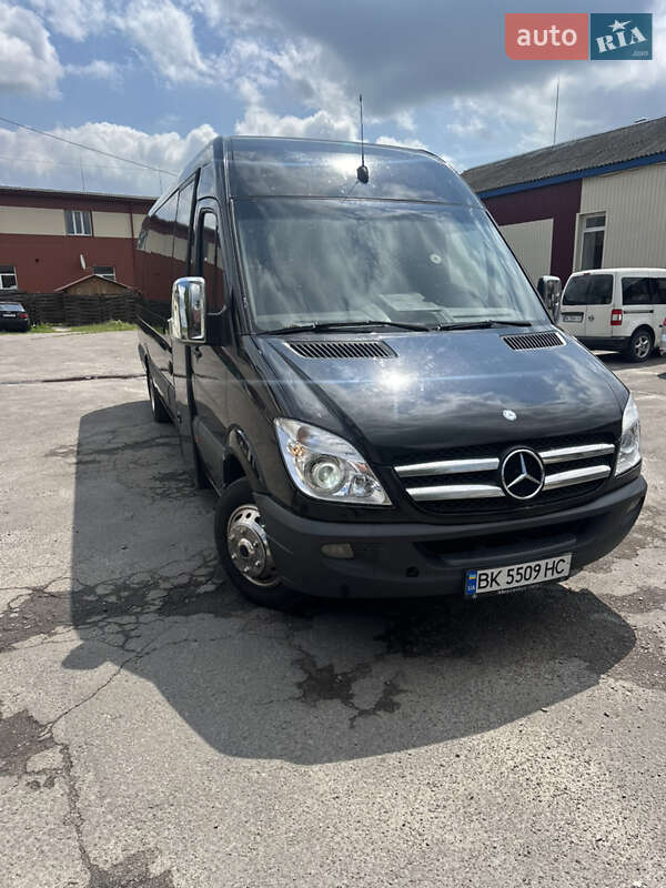 Туристический / Междугородний автобус Mercedes-Benz Sprinter 2010 в Березному