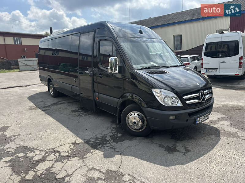 Туристический / Междугородний автобус Mercedes-Benz Sprinter 2010 в Березному
