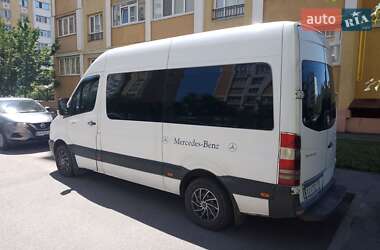 Микроавтобус Mercedes-Benz Sprinter 2008 в 