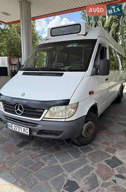 Міський автобус Mercedes-Benz Sprinter 2003 в Дніпрі