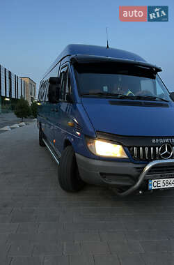 Микроавтобус Mercedes-Benz Sprinter 2006 в 