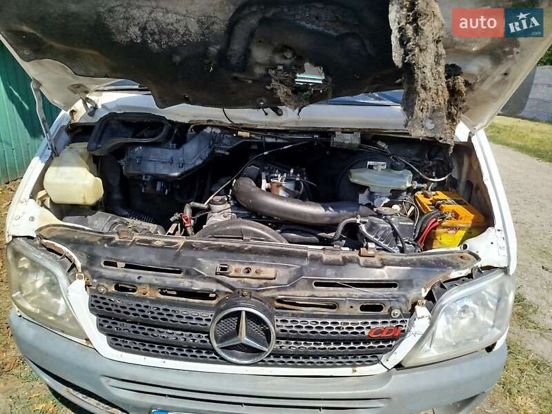 Грузопассажирский фургон Mercedes-Benz Sprinter 2004 в Кременчуге