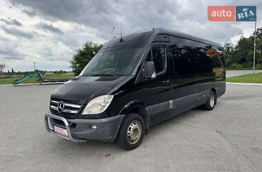 Микроавтобус Mercedes-Benz Sprinter 2009 в 