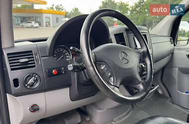 Микроавтобус Mercedes-Benz Sprinter 2009 в 