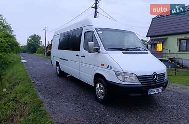Грузопассажирский фургон Mercedes-Benz Sprinter 2002 в 