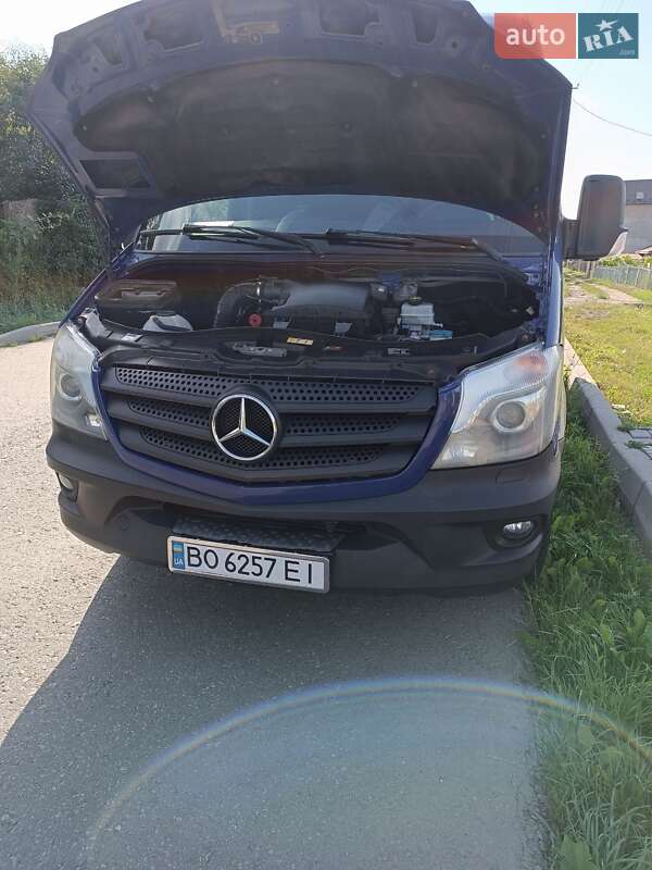 Грузовой фургон Mercedes-Benz Sprinter 2014 в Подволочиске