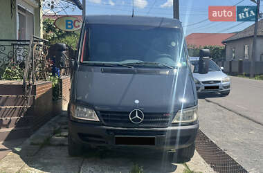 Микроавтобус Mercedes-Benz Sprinter 2005 в Сваляве