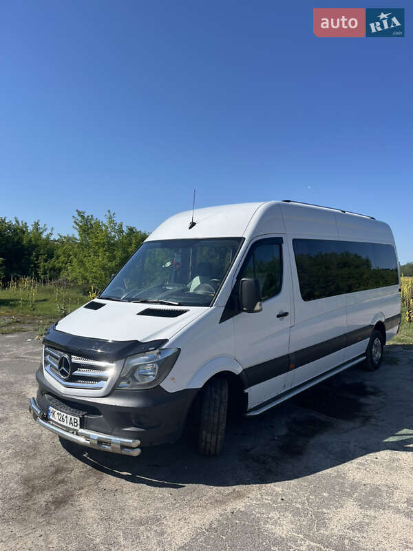Микроавтобус Mercedes-Benz Sprinter 2010 в Березному