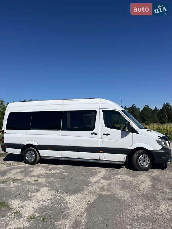 Микроавтобус Mercedes-Benz Sprinter 2010 в Березному