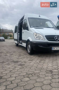 Микроавтобус Mercedes-Benz Sprinter 2009 в 