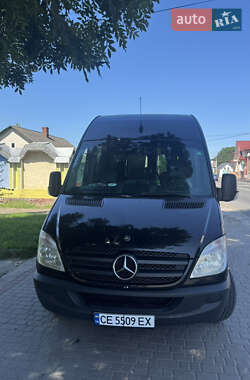 Мікроавтобус Mercedes-Benz Sprinter 2010 в Вижниці