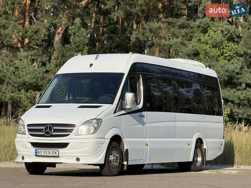 Туристический / Междугородний автобус Mercedes-Benz Sprinter 2010 в 
