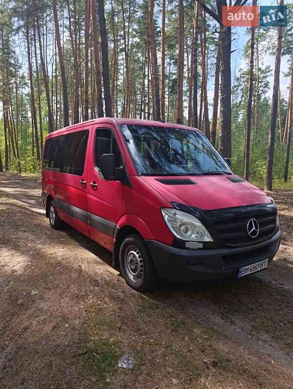 Микроавтобус Mercedes-Benz Sprinter 2007 в 