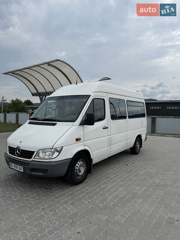 Микроавтобус Mercedes-Benz Sprinter 2003 в 