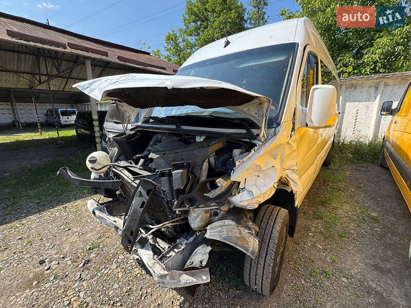 Грузопассажирский фургон Mercedes-Benz Sprinter 2014 в Стрые