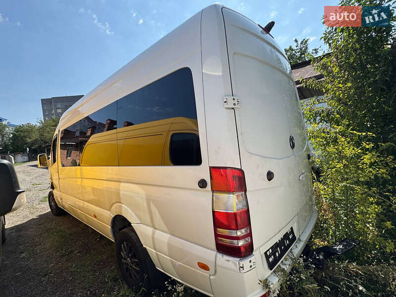 Грузопассажирский фургон Mercedes-Benz Sprinter 2014 в Стрые
