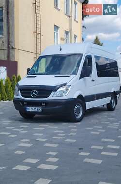 Грузопассажирский фургон Mercedes-Benz Sprinter 2009 в Бучаче