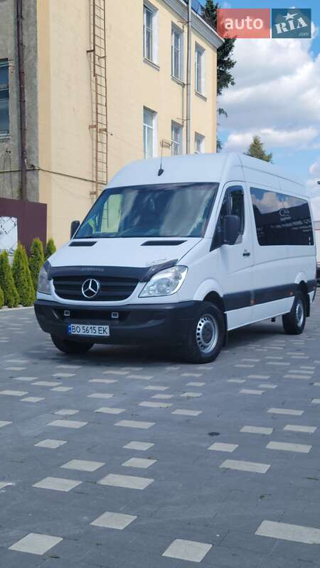 Mercedes-Benz Sprinter 2009