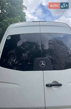 Микроавтобус Mercedes-Benz Sprinter 2010 в 