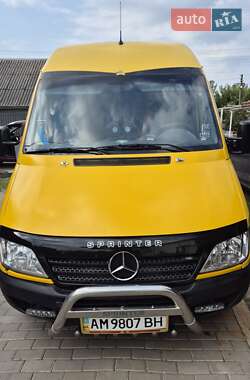 Вантажний фургон Mercedes-Benz Sprinter 2004 в Андрушівці