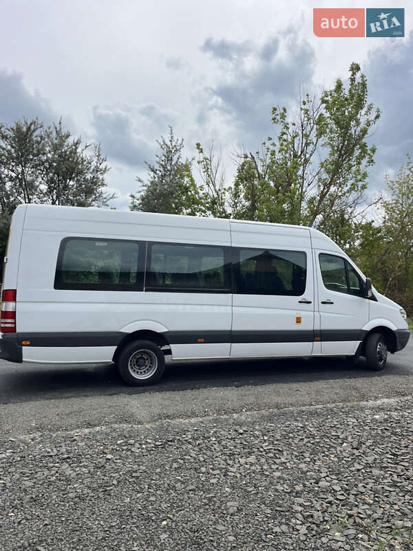 Пригородный автобус Mercedes-Benz Sprinter 2009 в Ковеле