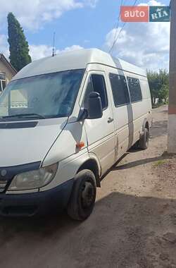 Грузопассажирский фургон Mercedes-Benz Sprinter 2002 в 