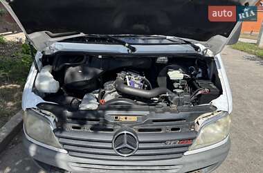 Микроавтобус Mercedes-Benz Sprinter 2000 в 