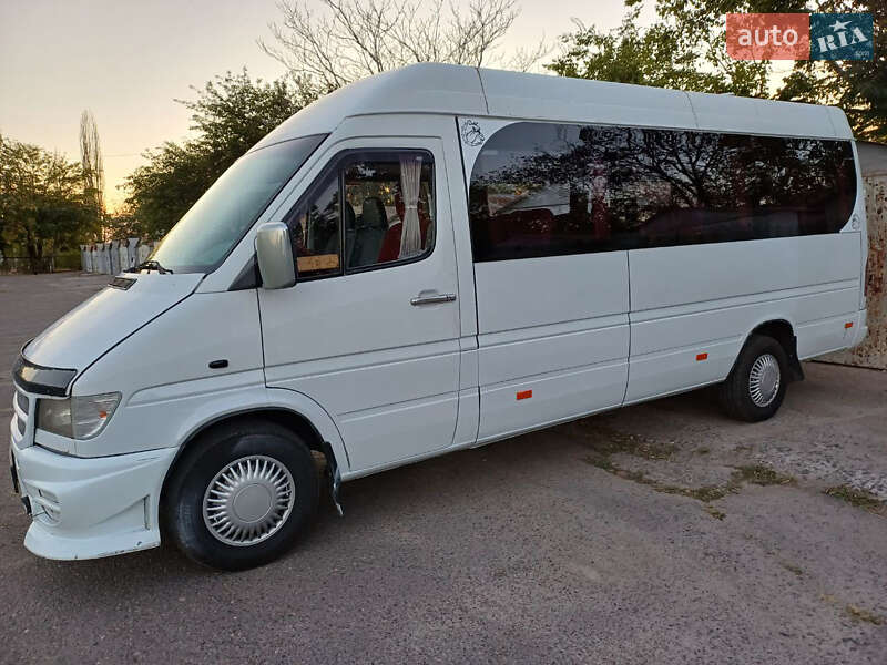 Микроавтобус Mercedes-Benz Sprinter 1998 в Николаеве