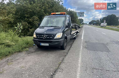 Другие грузовики Mercedes-Benz Sprinter 2011 в Любаре