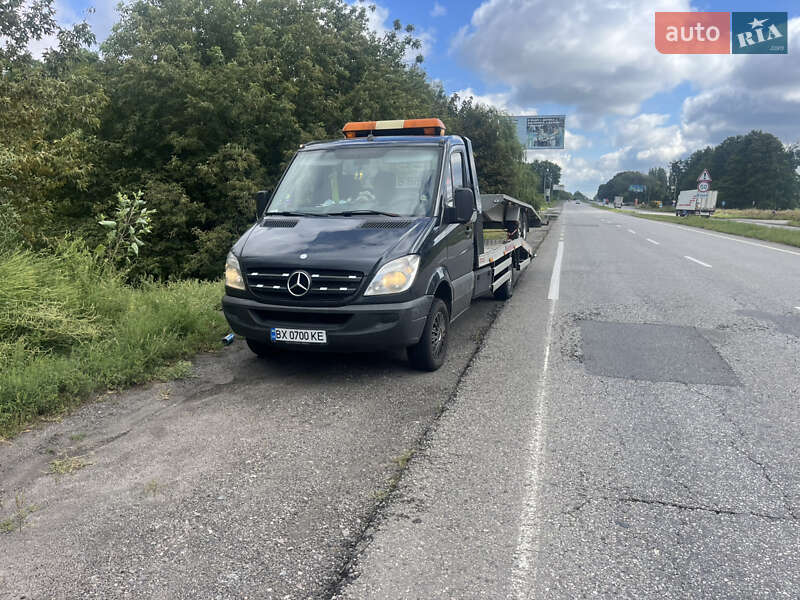 Другие грузовики Mercedes-Benz Sprinter 2011 в Любаре