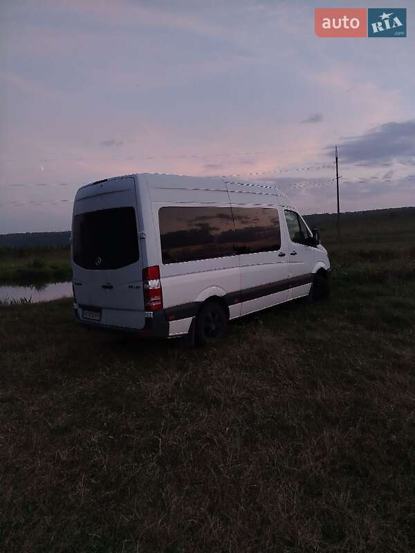Микроавтобус Mercedes-Benz Sprinter 2013 в Калиновке