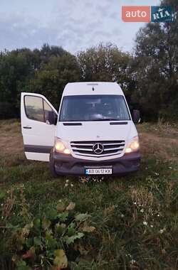 Микроавтобус Mercedes-Benz Sprinter 2013 в Калиновке