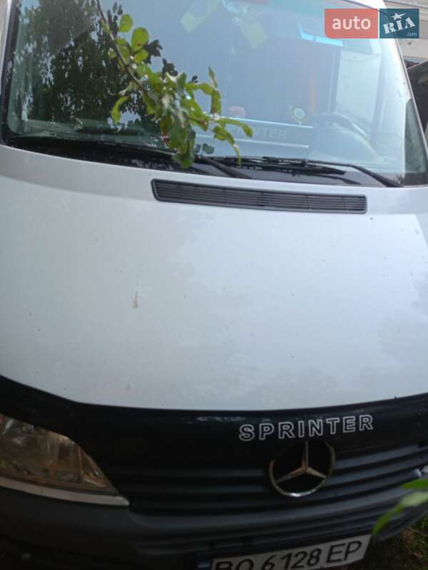 Вантажопасажирський фургон Mercedes-Benz Sprinter 2002 в Теребовлі