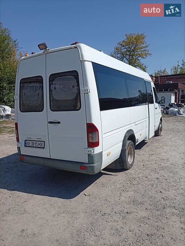 Мікроавтобус Mercedes-Benz Sprinter 2004 в Дніпрі