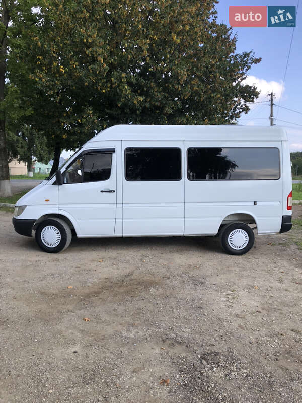 Грузопассажирский фургон Mercedes-Benz Sprinter 2000 в Самборе