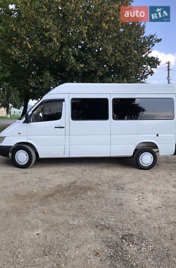 Грузопассажирский фургон Mercedes-Benz Sprinter 2000 в 