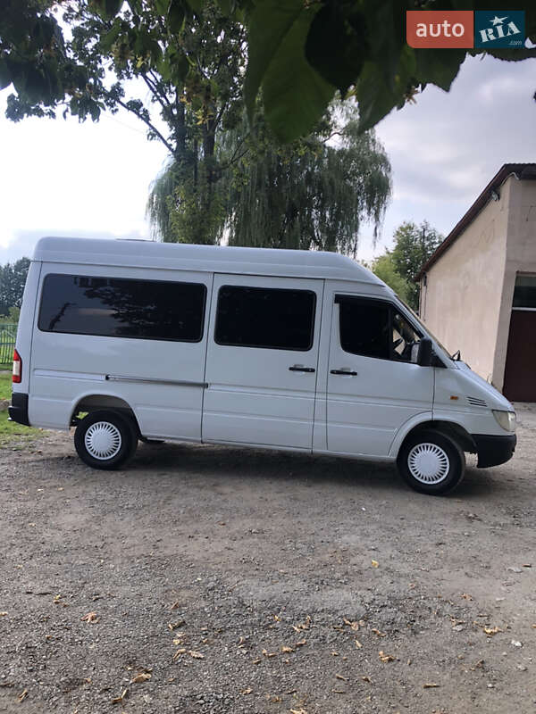 Грузопассажирский фургон Mercedes-Benz Sprinter 2000 в Самборе