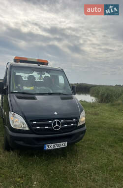 Другие грузовики Mercedes-Benz Sprinter 2011 в Любаре