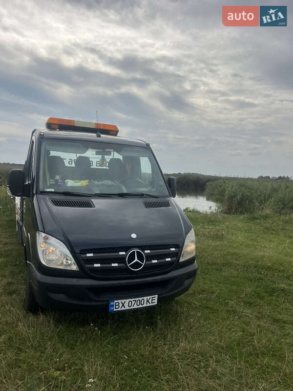 Другие грузовики Mercedes-Benz Sprinter 2011 в Любаре