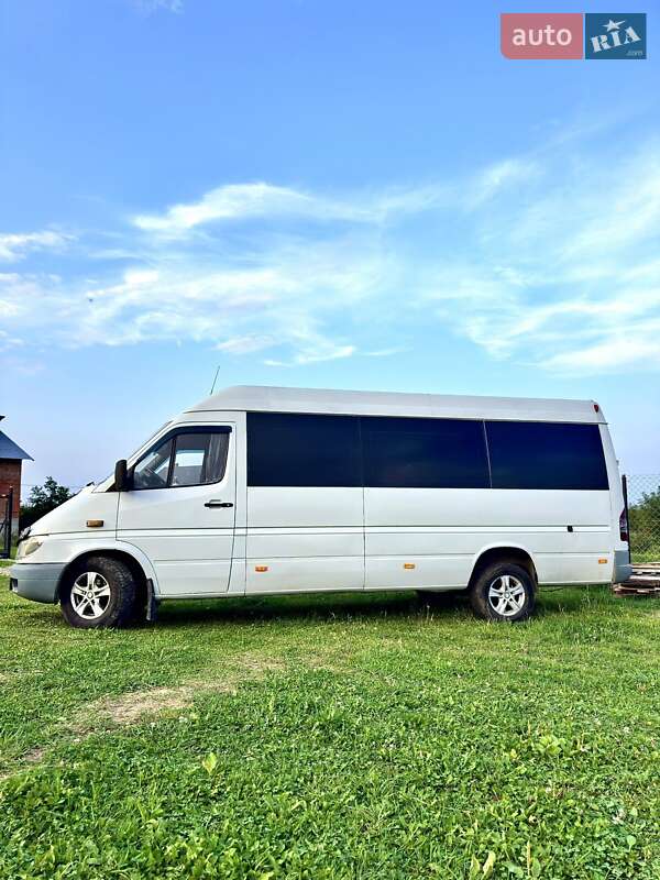 Микроавтобус Mercedes-Benz Sprinter 2004 в Бориславе