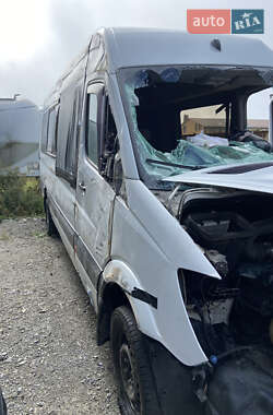 Микроавтобус Mercedes-Benz Sprinter 2014 в 