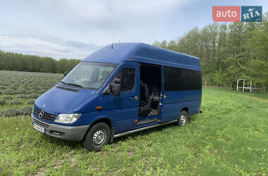 Микроавтобус Mercedes-Benz Sprinter 2006 в 