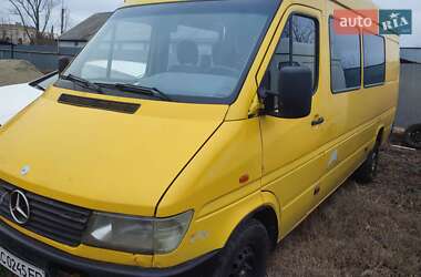 Минивэн Mercedes-Benz Sprinter 1997 в Ужгороде