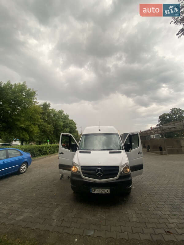 Мікроавтобус Mercedes-Benz Sprinter 2014 в Чернівцях