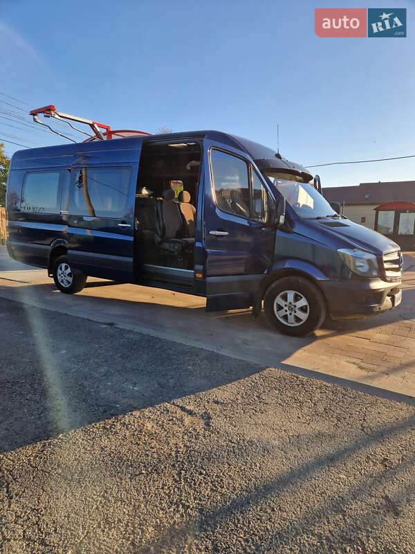 Микроавтобус Mercedes-Benz Sprinter 2009 в Тячеве