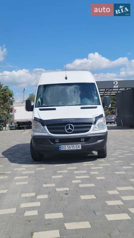 Мікроавтобус Mercedes-Benz Sprinter 2009 в Бучачі