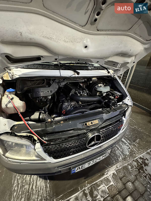 Міський автобус Mercedes-Benz Sprinter 2005 в Кривому Розі