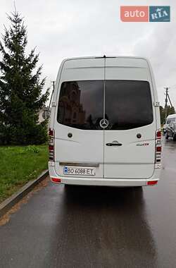 Туристический / Междугородний автобус Mercedes-Benz Sprinter 2008 в 