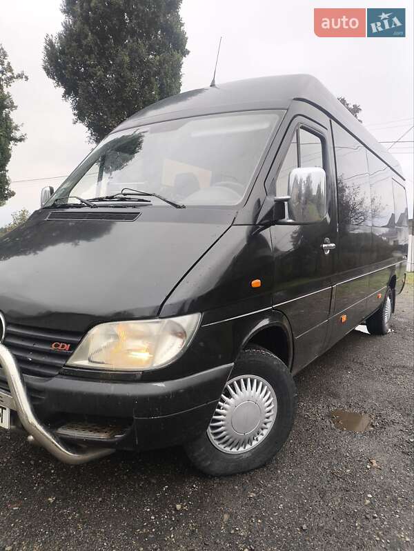 Микроавтобус Mercedes-Benz Sprinter 1998 в Снятине