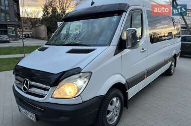 Микроавтобус Mercedes-Benz Sprinter 2009 в 